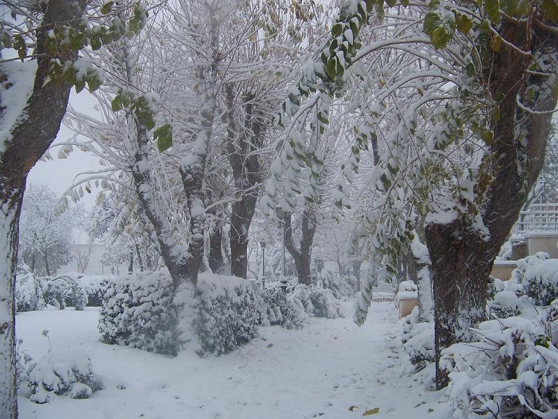 nieve 14 - 12 - 09 083